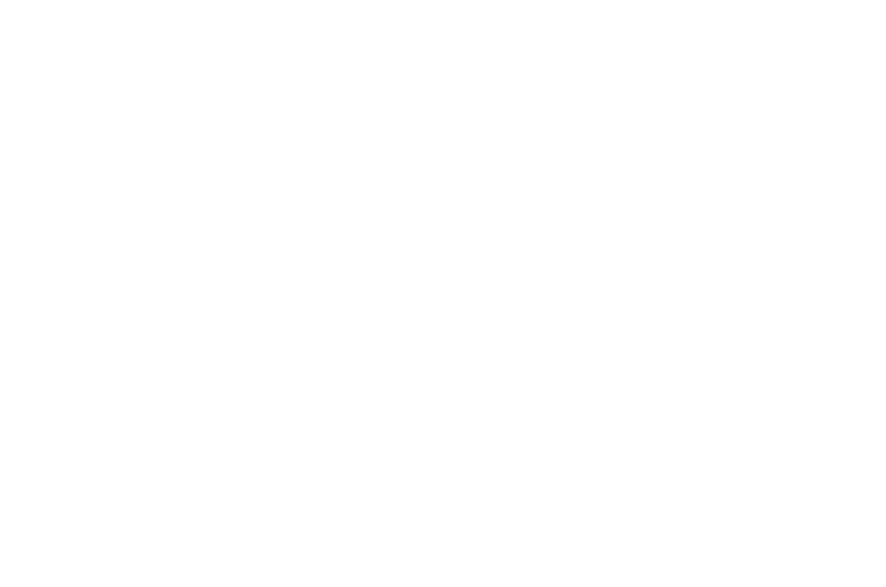 VDIV Niedersachsen